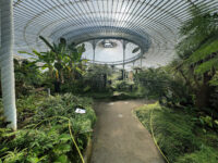 Glasgow Botanic Gardens Travel Forum Reviews