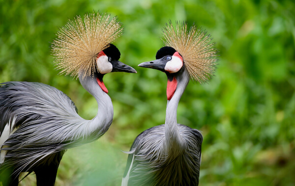 Glorito Tours and Travel Uganda