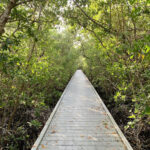 Glover Bight Trail