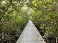 Glover Bight Trail Travel Forum Reviews