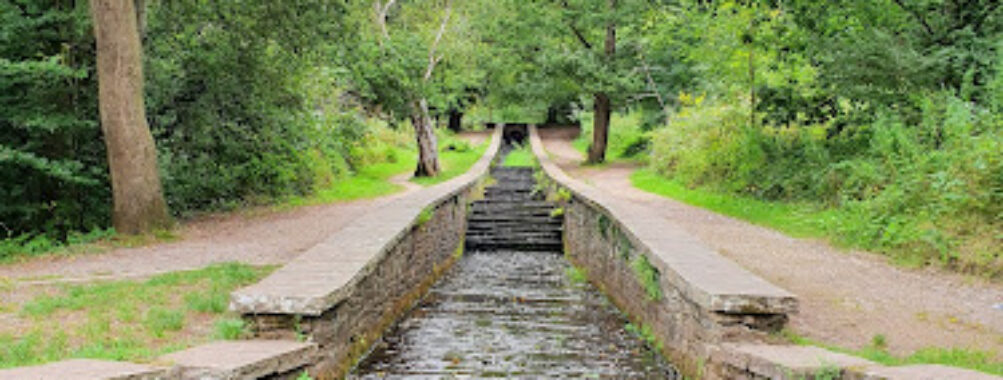 Gnoll Country Park Travel Forum Reviews