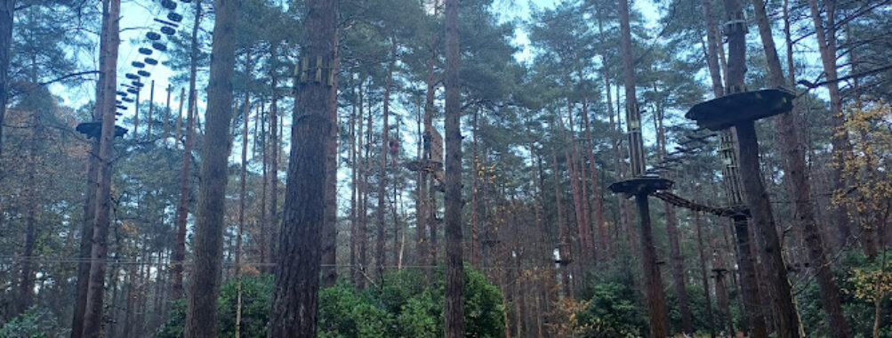 Go Ape Bracknell Travel Forum Reviews