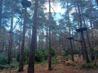 Go Ape Bracknell Travel Forum Reviews