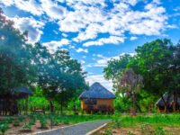 Go Yala Safari Tours Travel Forum Reviews