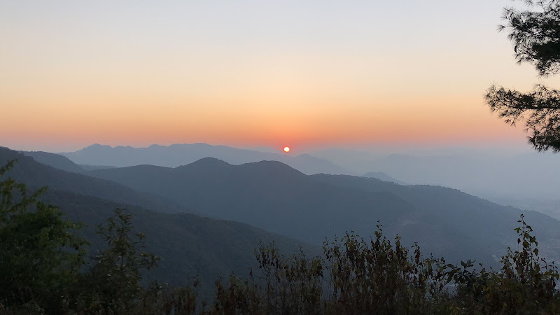 Godavari Forest