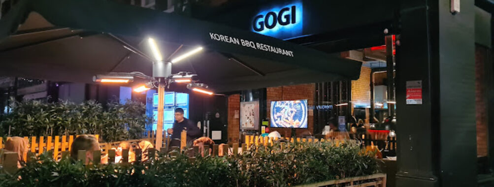Gogi Travel Forum Reviews