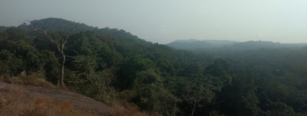 Gola Rainforest National Park Travel Forum Reviews