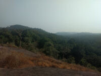 Gola Rainforest National Park Travel Forum Reviews