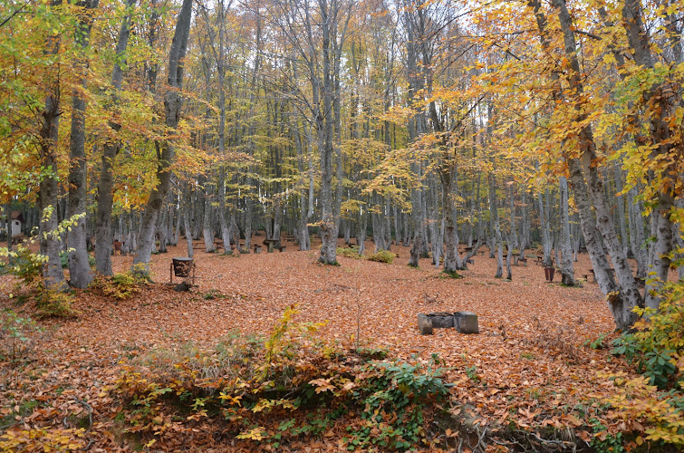 Göldağı Tabiat Parkı