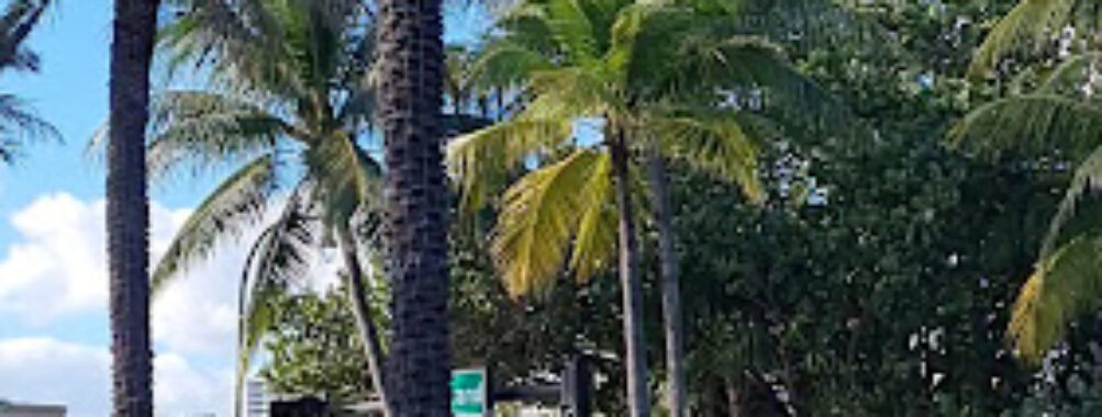 Golden Beach Travel Forum Reviews