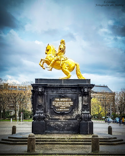 Golden Rider