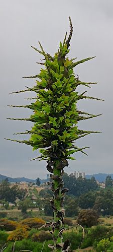 Gómez Carreño Natural Park