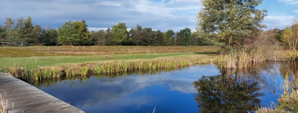 Goois Natuurreservaat Zanderij Cruysbergen Travel Forum Reviews