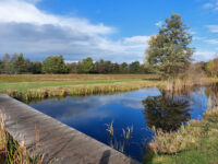Goois Natuurreservaat Zanderij Cruysbergen Travel Forum Reviews
