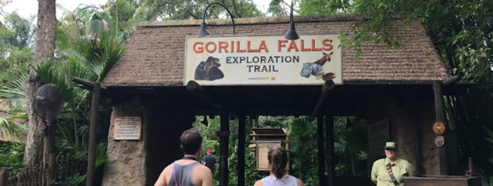Gorilla Falls Exploration Trail Travel Forum Reviews