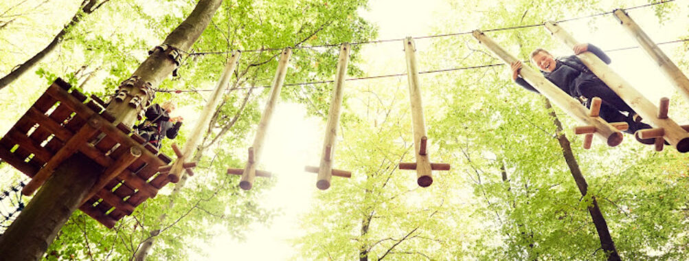 Gorilla Park Vejle Travel Forum Reviews