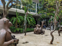 Gorillas in the Mist Travel Forum Reviews
