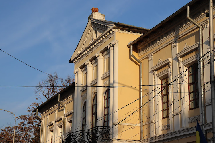 Gorj County Museum Alexander Ștefulescu