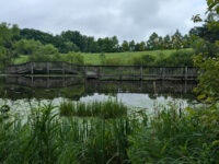 Gorman Nature Center Travel Forum Reviews