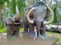 Gorodskoy Park Flory I Fauny Royev Ruchey Travel Forum Reviews