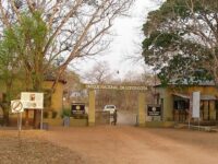 Gorongosa National Park Travel Forum Reviews