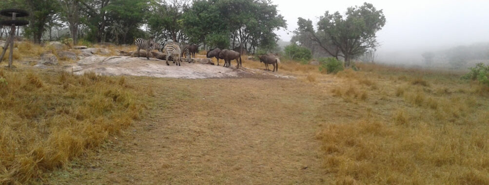 Gosho Park Travel Forum Reviews