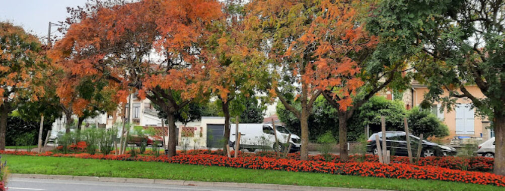 Goussainville Travel Forum Reviews