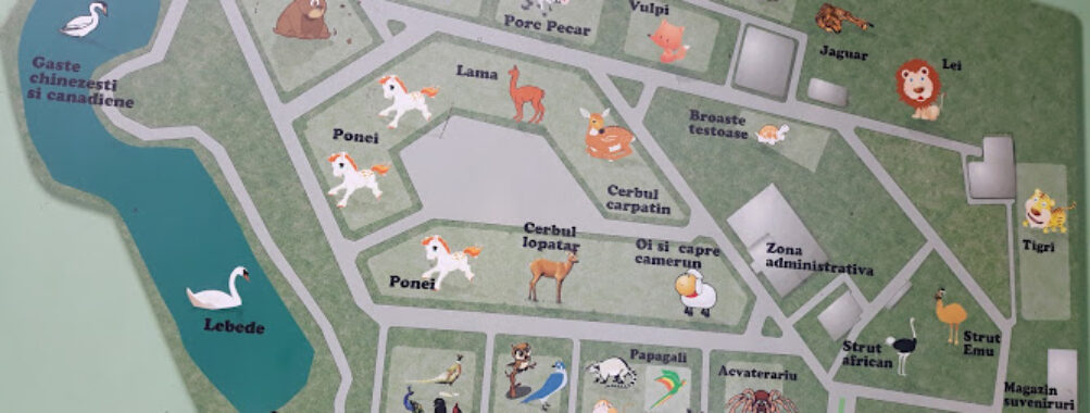 Grădina Zoologică Travel Forum Reviews