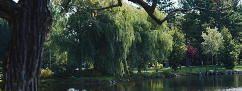 Grand Coteau Park Travel Forum Reviews