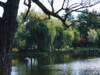 Grand Coteau Park Travel Forum Reviews