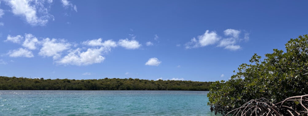 Grand Turk Bird Observatory Travel Forum Reviews