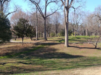 Grant Park Travel Forum Reviews