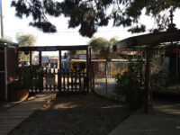 Grant Rea Park Recreation Building Travel Forum Reviews