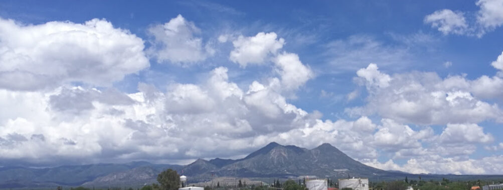 Grasero Travel Forum Reviews
