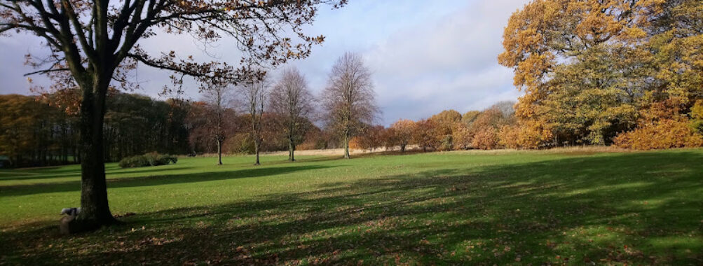 Graves Park Travel Forum Reviews