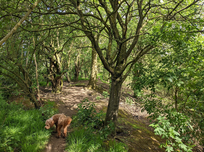 Great Central Walk