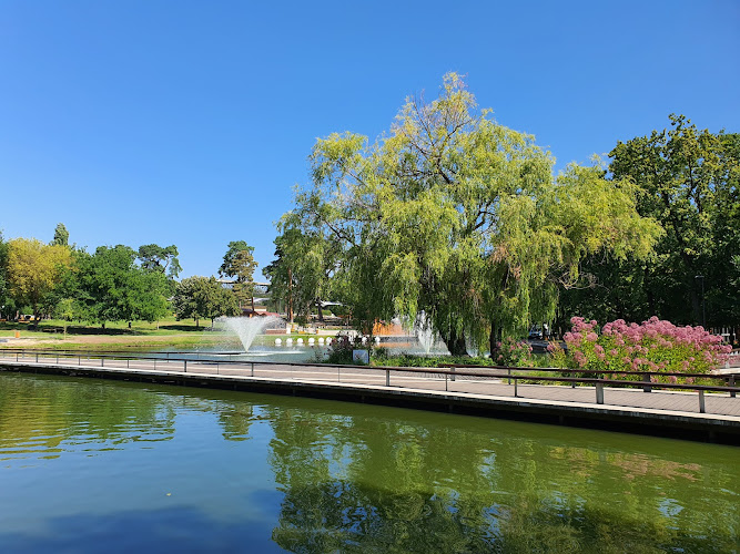 Great Forest Park