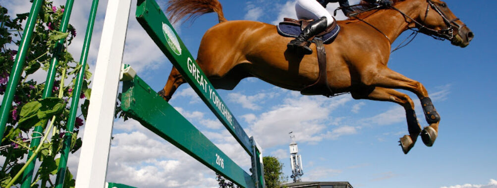 Great Yorkshire Show Travel Forum Reviews