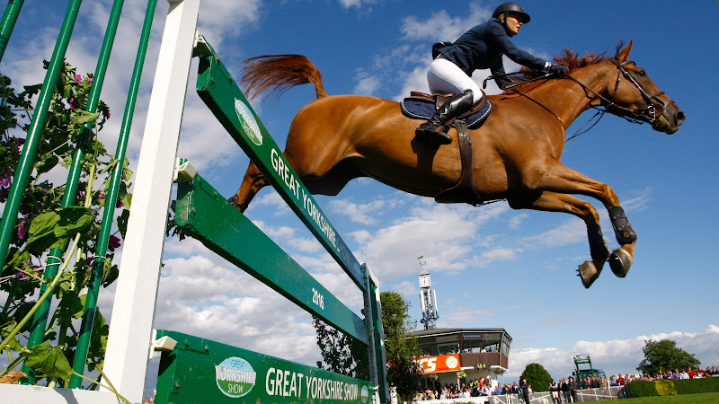 Great Yorkshire Show
