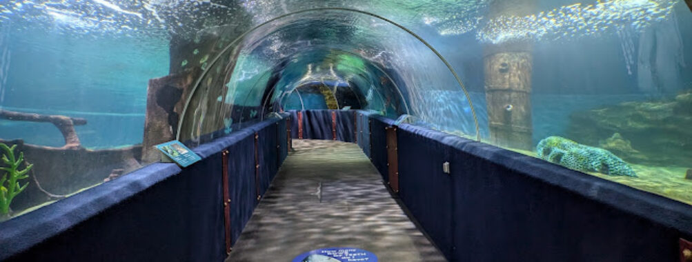 Greater Cleveland Aquarium Travel Forum Reviews