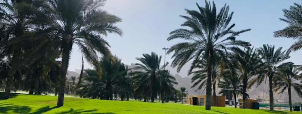 Green Mubazzarah - Public Park Travel Forum Reviews