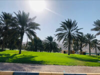 Green Mubazzarah - Public Park Travel Forum Reviews