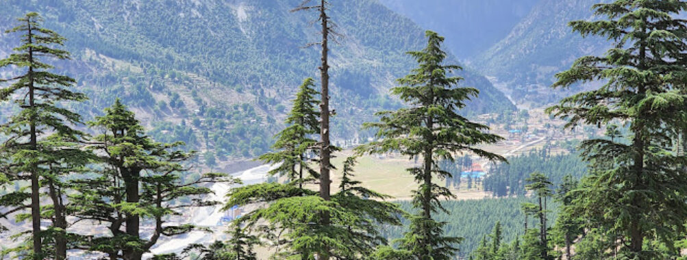 Green Top (Kalam view point) Travel Forum Reviews