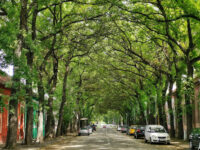 Green Tunnel - Zeleni Tunel Travel Forum Reviews