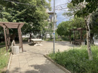 Green spot Travel Forum Reviews