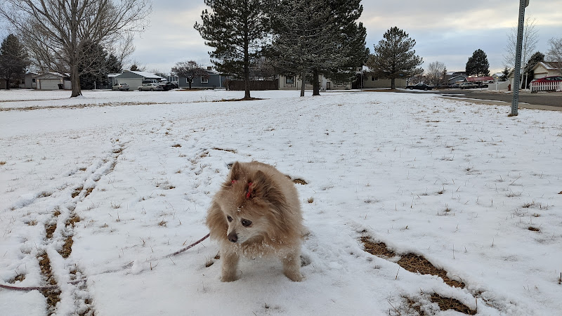 Greenbriar Park