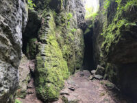 Grota Urșilor Travel Forum Reviews