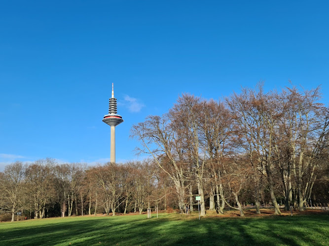 Grüneburg park