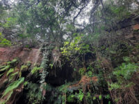 Gruta de la Llorona Travel Forum Reviews