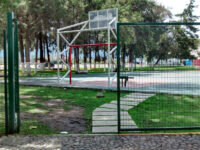 Guadalupe Park Travel Forum Reviews